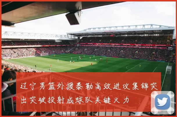 辽宁男篮外援泰勒高效进攻集锦突出突破投射成球队关键火力