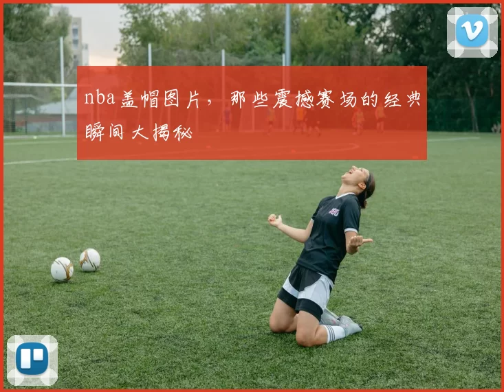 nba盖帽图片，那些震撼赛场的经典瞬间大揭秘