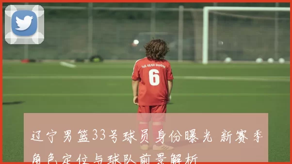 辽宁男篮33号球员身份曝光 新赛季角色定位与球队前景解析