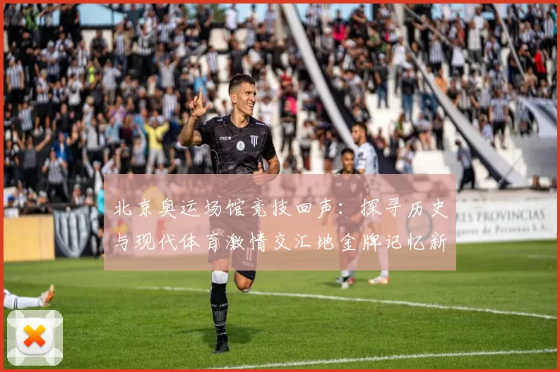 北京奥运场馆竞技回声：探寻历史与现代体育激情交汇地金牌记忆新风貌