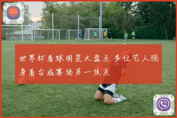 世界杯看球明星大盘点 多位艺人现身看台成赛场另一焦点